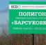 На полигон под Советском снова повезут мусор из Калининграда?! - ИА Русский Запад