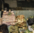 Родственников военнослужащих просят не верить звонкам из морга - ИА Русский Запад