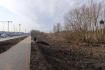 В Калининграде обустроят две платные парковки на улицах Катериничева и Лучинского