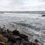 В Калининграде пройдет День Балтийского моря с лекциями ученых - NewKaliningrad.Ru