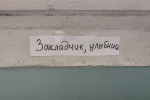 В Калининграде закладчики спровоцировали рост подростковой преступности на 233%