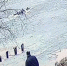 В Калининграде показали видео со спасением детей - ИА Русский Запад
