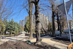 Благоустройство сквера на улице Комсомольской в Калининграде планируют завершить к началу апреля (фото)