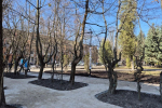 Благоустройство сквера на улице Комсомольской в Калининграде планируют завершить к началу апреля (фото)