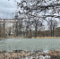 В минприроды сообщили о гибели рыбы в Летнем озере - NewKaliningrad.Ru