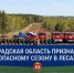 Калининградскую область признали готовой к пожароопасному сезону в лесах - NewKaliningrad.Ru