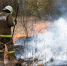Метеоэксперты: ситуация с палами травы в области ухудшается - NewKaliningrad.Ru