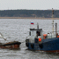 В Калининградской области началась салачная путина (фото) - Kaliningrad.Ru