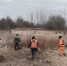 В Калининграде начали окашивать территории с повышенной пожарной опасностью - Kgzt.Ru