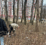 img - ЛДПР