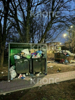 Крысы плодятся, повсюду «красота»: 5 мест в Калининграде, где не хватает чистоты (фото, видео) - Новости Калининграда | Фото: Дарья Пасенко, Екатерина Васёва