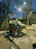Крысы плодятся, повсюду «красота»: 5 мест в Калининграде, где не хватает чистоты (фото, видео) - Новости Калининграда | Фото: Дарья Пасенко, Екатерина Васёва