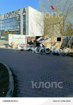 Крысы плодятся, повсюду «красота»: 5 мест в Калининграде, где не хватает чистоты (фото, видео) - Новости Калининграда | Фото: Сергей