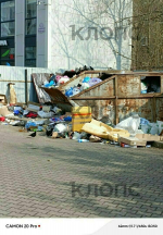 Крысы плодятся, повсюду «красота»: 5 мест в Калининграде, где не хватает чистоты (фото, видео) - Новости Калининграда | Фото: Сергей
