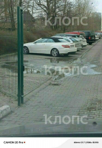 Крысы плодятся, повсюду «красота»: 5 мест в Калининграде, где не хватает чистоты (фото, видео) - Новости Калининграда | Фото: Сергей