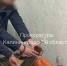 Наказание убивавшему свою мать сыну вынесут в Гурьевске - ИА Русский Запад