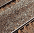 Фото: pixabay.com - Kgzt.Ru