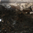 зах-2.jpeg - NewKaliningrad.Ru