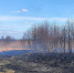 Поле в Гурьевском районе очевидцы сфотографировали 13 апреля | Фото: Алина Соболь - Klops.Ru