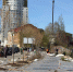 Вдоль улицы Багратиона в Калининграде высадили 36 деревьев и кустарников (фото) - Kaliningrad.Ru