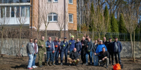 Антон Алиханов в отпуске приехал в Калининград сажать сакуры и другие деревья - Kaskad.TV