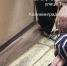 Одни врачи пожаловались Беспрозванных на очереди к другим - ИА Русский Запад