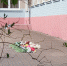место гибели2.jpg - ИА Русский Запад