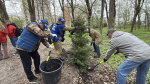 Общегородской субботник