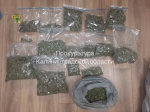 В Калининграде осуждён мужчина, вырастивший в теплице более 7,5 кг марихуаны для сбыта
