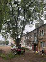В Калининграде крупная ветка упала на машину во дворе, где не закончили обрезку опасных деревьев - Новости Калининграда | Фото: очевидец