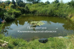 Прокуратура: утонувшая в Полесском районе шестилетняя девочка находилась без присмотра (фото)