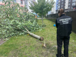 В Калининграде будут судить заведующую детским садом