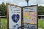 «Музыкальные выступления и чествование семей»: как в Калининграде празднуют День города (фото)