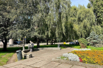 Власти планируют разработать концепцию благоустройства сквера на улице Багратиона в Калининграде в 2027 году (фото)