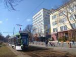 В Калининграде мать сделала 7-летнего сына заложником краж