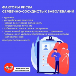 С 28 сентября по 4 октября в России проходит неделя ответственного отношения к сердцу.