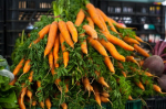 Экспорт агропродукции из Калининградской области вырос на 13%