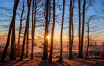 Фото: pixabay.com